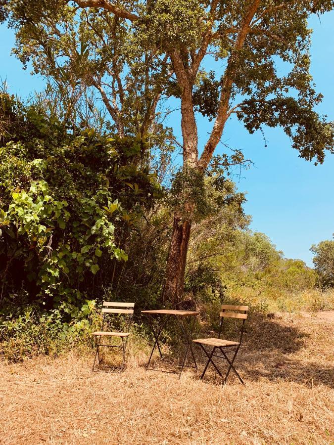 Hotel Private Eco Glamping In Aljezur Alfambras Esterno foto